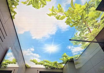 Spanndecke Lichtdecke mit Motiv bedruckt